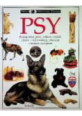 Psy