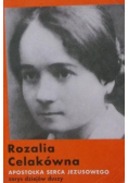 Apostołka Serca Jezusowego