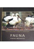Fauna powiatu Brzeskiego