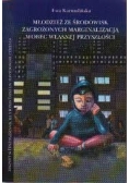 Młodzież ze środowisk zagrożonych marginalizacją wobec własnej przyszłości