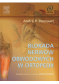 Blokada nerwów obwodowych w ortopedii z płytą DVD