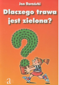 Dlaczego trawa jest zielona