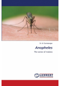 Anopheles