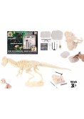 Wykopaliska archeologiczne - dinozaury