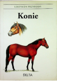 Leksykon przyrody Konie