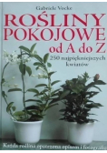 Rośliny pokojowe od A do Z
