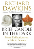 Brief Candle in the Dark