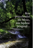 Kto przychodzi do Mnie nie będzie pragnął