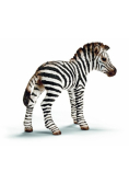 Zebra źrebię