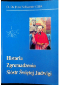Historia zgromadzenia Sióstr Świętej Jadwigi