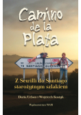 Camino de la plata