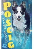 Pościg