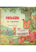 Króliczki na wycieczce