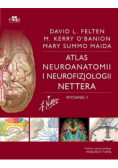 Atlas neuroanatomii i neurofizjologii Nettera