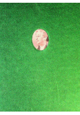 Zapiski o Annie Achmatowej Tom 3 1963 - 1966