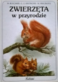 Zwierzęta w przyrodzie