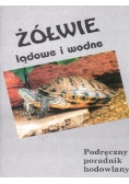 Żółwie lądowe i wodne