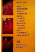 Atlas anatomiczny budowy wewnętrznej żuchwy człowieka