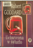 Uchwycona w światło