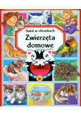Świat w obrazkach Zwierzęta domowe