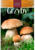 Grzyby Spotkania z przyrodą