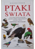 Ptaki świata