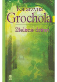 Zielone drzwi