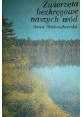 Zwierzęta bezkręgowe naszych wód