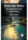 Down the Rhine Or, Young America in Germany