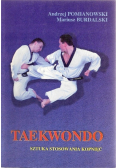 Taekwondo sztuka stosowania kopnięć