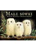 Małe sówki