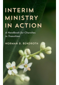 Interim Ministry in Action