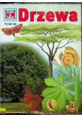 Co i jak Drzewa