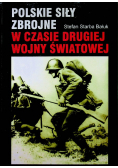 Polskie siły zbrojne w czasie drugiej wojny światowej
