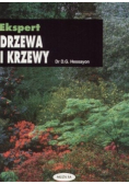 Ekspert drzewa i krzewy