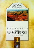 Ewangelia według św Mateusza