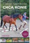 Czego naprawdę chcą konie