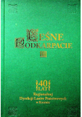 Leśne Podkarpacie II