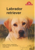 Pies na medal Labrador Retriever