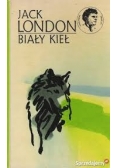 Biały kieł