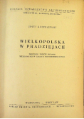 Wielkopolska w pradziejach