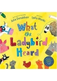 What the Ladybird Heard
