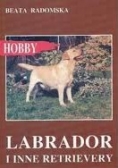 Labrador i inne retrievery