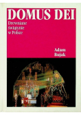 Domus Dei Drewniane świątynie w Polsce