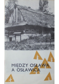 Między Osławą a Osławicą