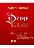 Dzieje Polski Tom 3 1340 - 1468 Królestwo zwycięskiego orła