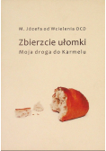 Zbierzcie ułomki moja droga do Karmelu
