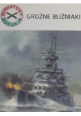 Groźne bliźniaki