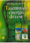 Tajemnice energii drzew