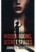 Hidden Rooms, Secret Spaces